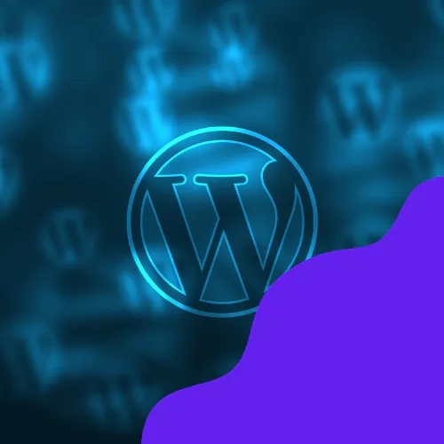 Consultant SEO - Wordpress